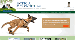 Desktop Screenshot of patriciamcconnell.com